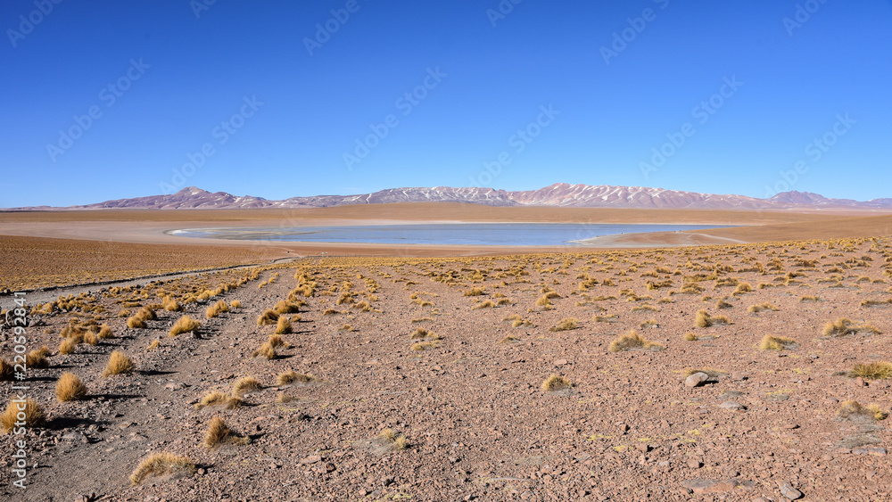Panoramic view of Laguna Hedionda Sur, in the Eduardo Avaroa National Reserve, Sud Lipez Province, Bolivia Panoramic view of Laguna Hedionda Sur, in the Eduardo Avaroa National Reserve, Sud Lipez Province, Bolivia