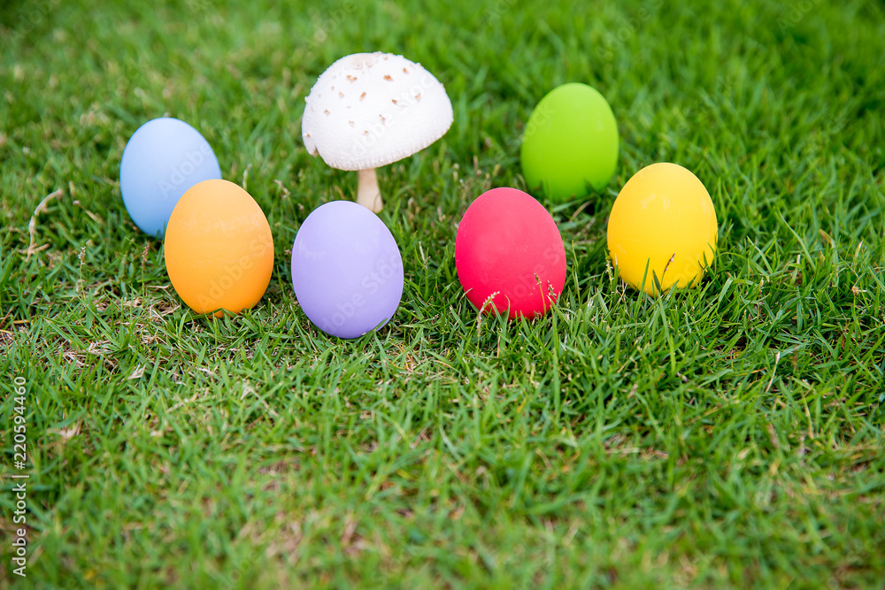 Colorful easter eggs under the white mushroom on the green garden yard. symbol of easter's day festival. festive wallpaper. image for background, wallpaper,article,illustration and copy space.