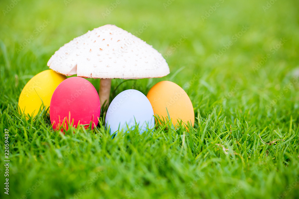 Colorful easter eggs under the white mushroom on the green garden yard. symbol of easter's day festival. festive wallpaper. image for background, wallpaper,article,illustration and copy space. Colorful easter eggs under the white mushroom on the green garden yard. symbol of easter's day festival. festive wallpaper. image for background, wallpaper,article,illustration and copy space.