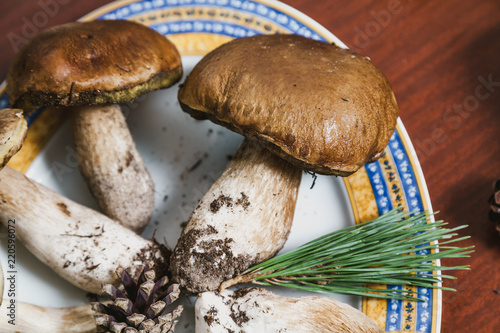 White mushrooms lie on plate. Close-up
