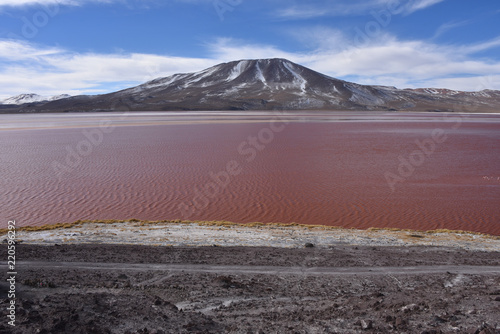 Laguna Colorada in the Eduardo Avaroa Andean Fauna Natural Reserve, Bolivia photo