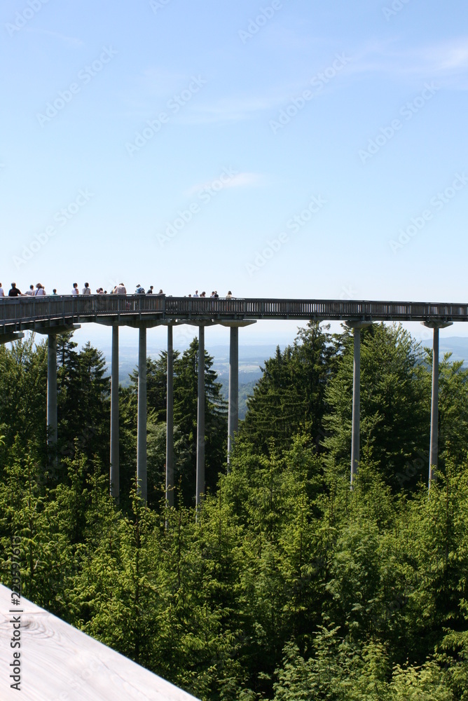Waldwipfelweg Waldwipfelweg