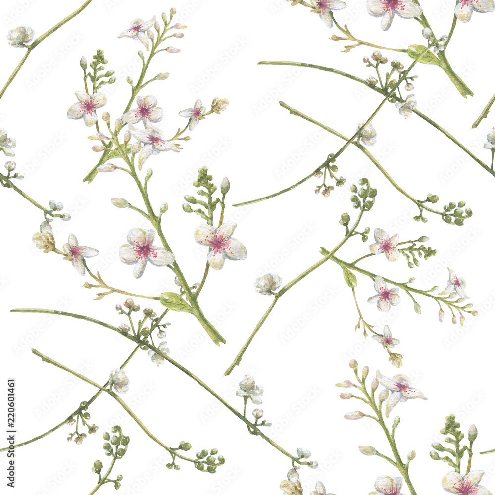 Watercolor painting of leaf and flowers, seamless pattern on white background Watercolor painting of leaf and flowers, seamless pattern on white background