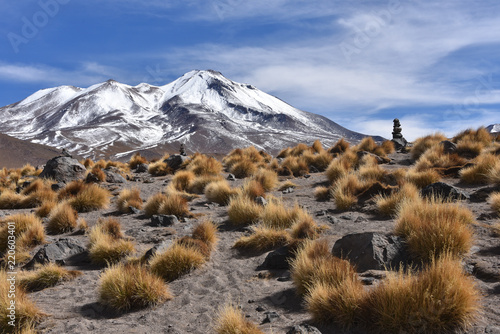 Vegetation of the high altitude deserts of the Sud Lipez and Eduardo Avaroa National Reserve, Uyuni, Bolivia photo