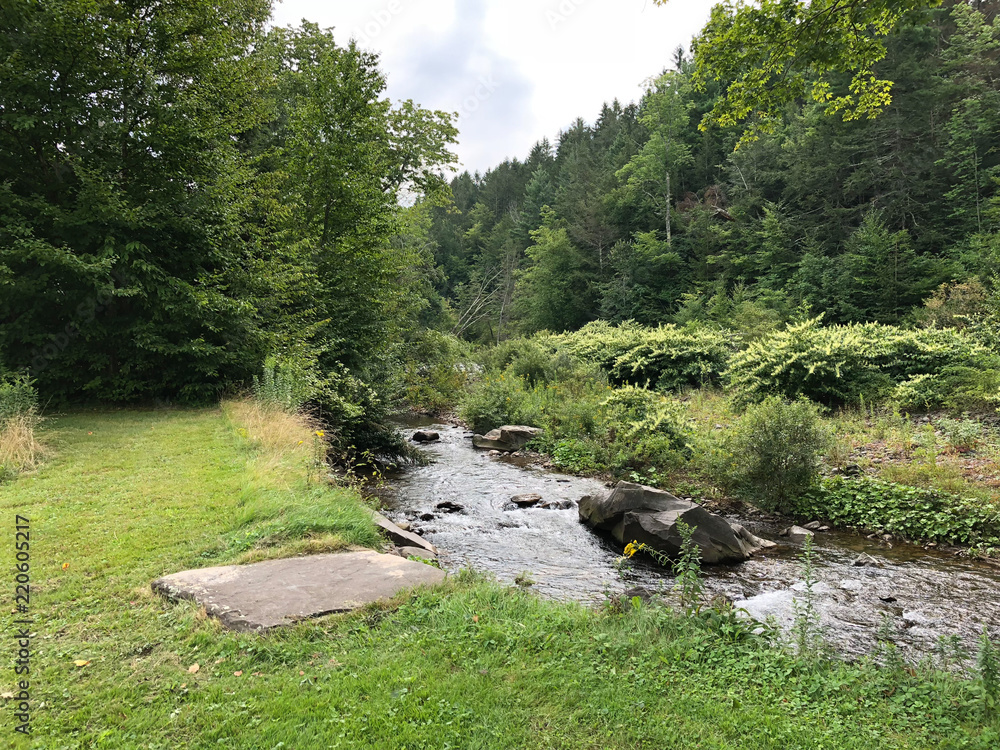 Wilderness Creek Wilderness Creek