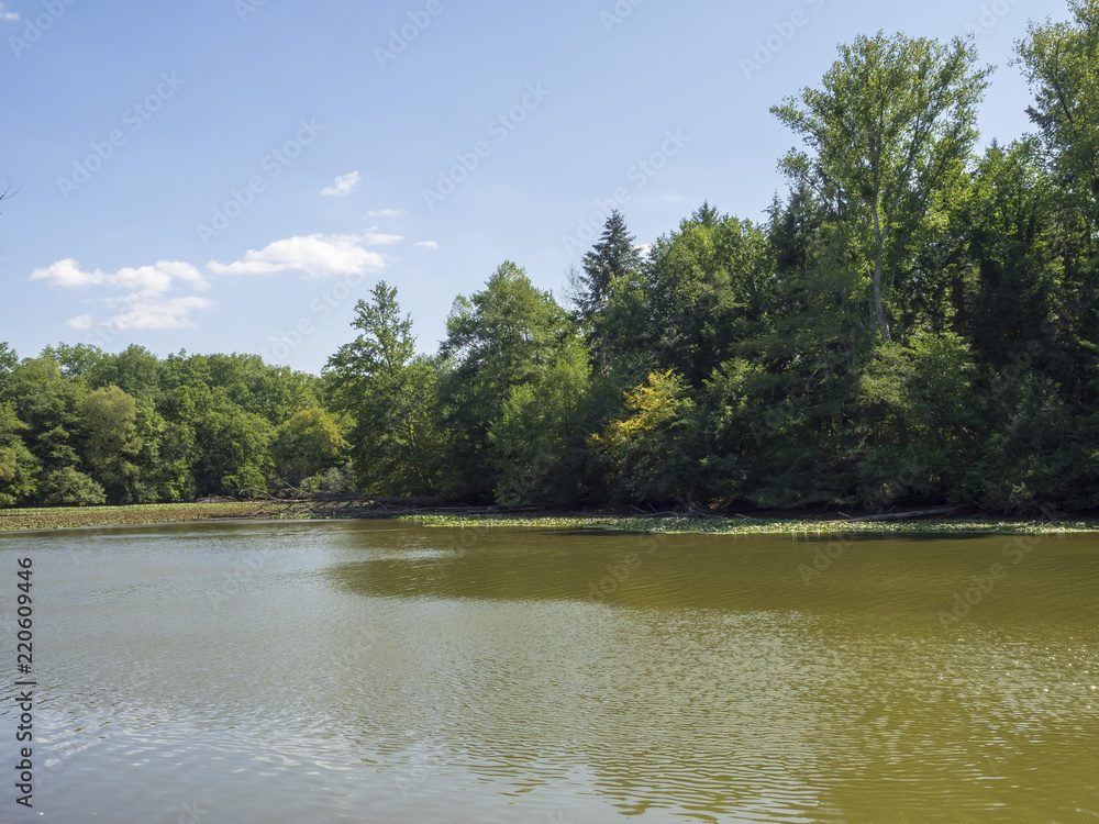 Les étangs de Saint-Bonnet-Tronçais au coeur de la plus belle chênaie d'Europe.