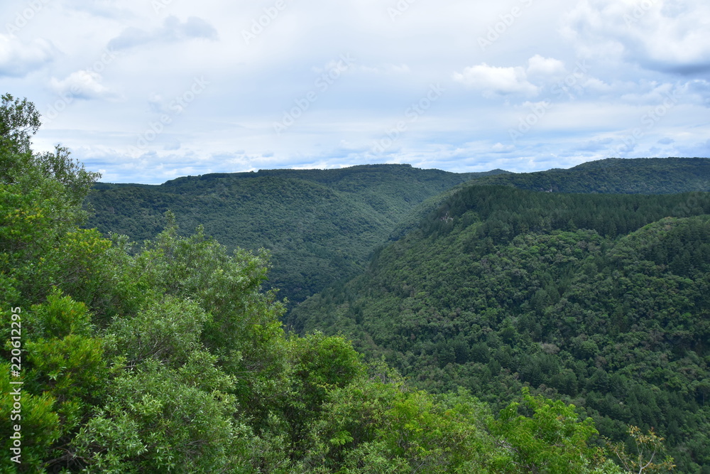 NATURE NATURE