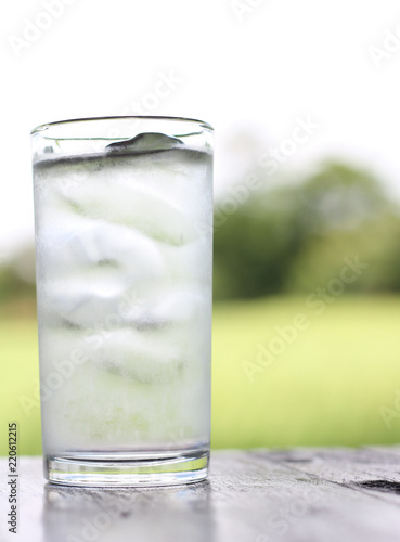 ice water in a clear glass on green natural background
