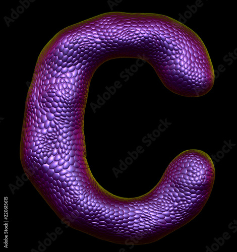 Letter C made of natural purple snake skin texture isolated on black.