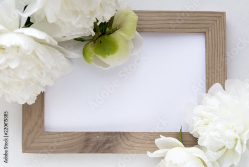 White peonies on wooden frame background.
