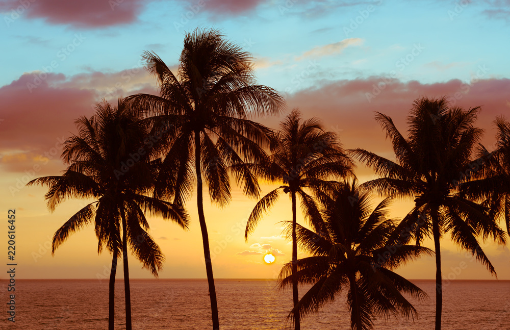 Tropical island sunset.
