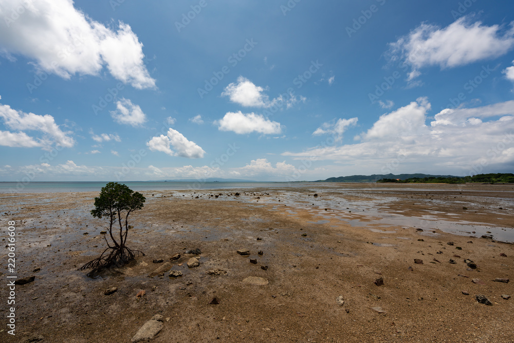Landscape Of Nagura Bay At Low Tide Of Ishigaki Island In Okinawa Japan 石垣島 名蔵湾 干潮時 Stock Photo Adobe Stock