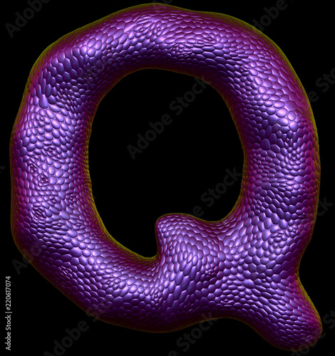 Letter Q made of natural purple snake skin texture isolated on black. photo