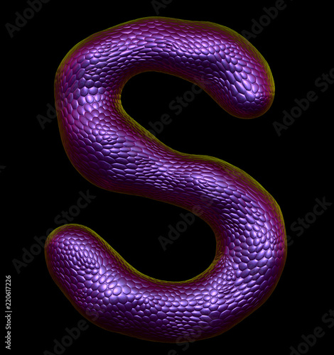 Letter S made of natural purple snake skin texture isolated on black.