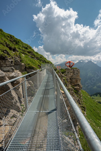 Stubnerkogel Hängebrücke photo