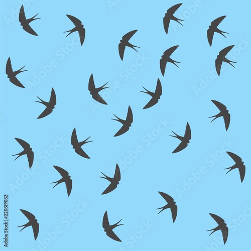 Swallow background