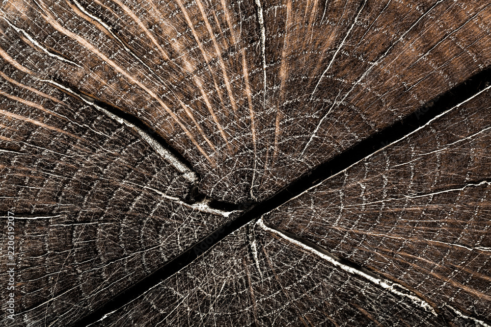 Fototapeta premium Vintage brown grunge hardwood top view