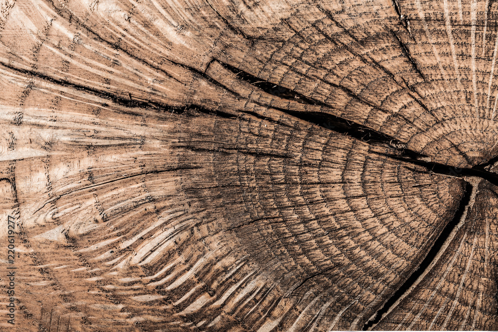 Fototapeta premium Vintage brown natural wooden texture