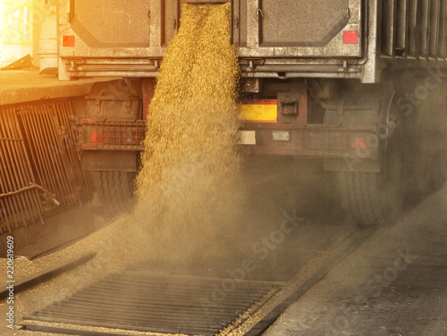 A truck unloads grain at a grain storage and processing plant, a grain storage facility, landing grain, works photo