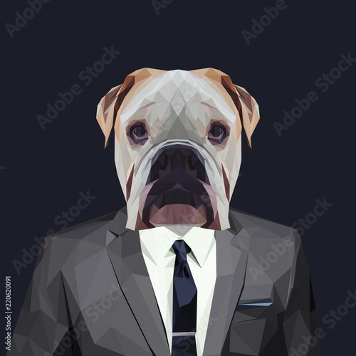 English bulldog dog dressed in a suit. Elegant classy style. Vector illustration.