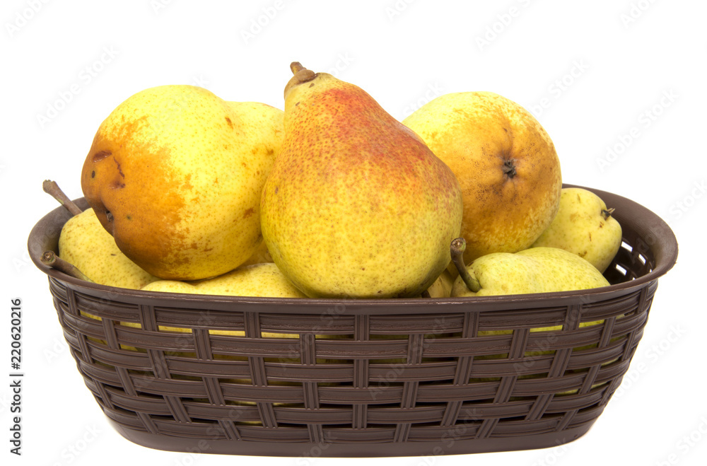 Pears. Pears harvest. Fruit background. Fresh organic pears on old sacking. Pear autumn harvest. Juicy flavorful pears of rustic background. Free space for text. Autumn nature concept.