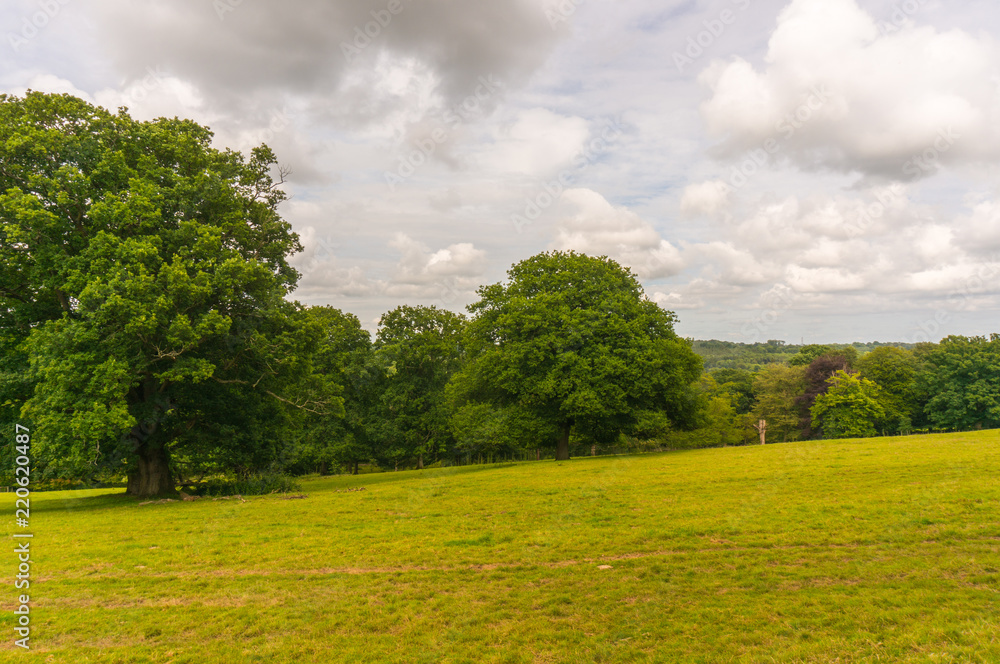 Obraz premium Villa Green