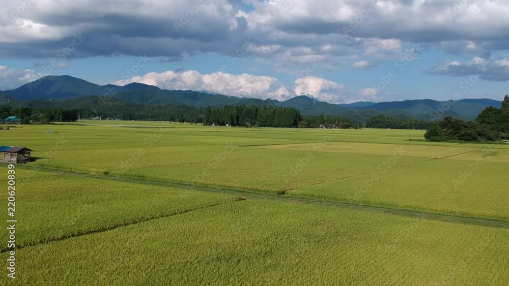 秋の田園風景 空撮 秋田県 農業 ドローン活用イメージ 秋の田園風景 空撮 秋田県 農業 ドローン活用イメージ
