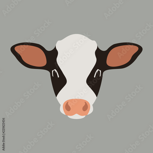 calf cow face vector illustration flat style front 