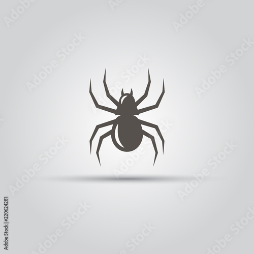Spider isolated vector icon