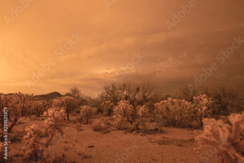 Summer monsoon storms sweep into the desert quickly. This time it is sunset and the clouds swirl in causing the desert to take on a whole new looking landscape
