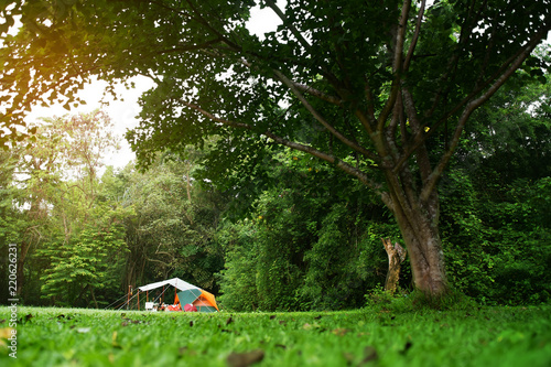 nature landscape camping tent with tarp or flysheet under big tree on green grass meadow and waterfall in jungle for family vacation picnic on holiday relax travel and rainy season with warm sunlight