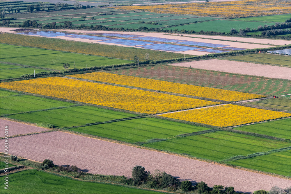 vue aérienne de champs près d'Arles dans les Bouches-du-Rhône en france