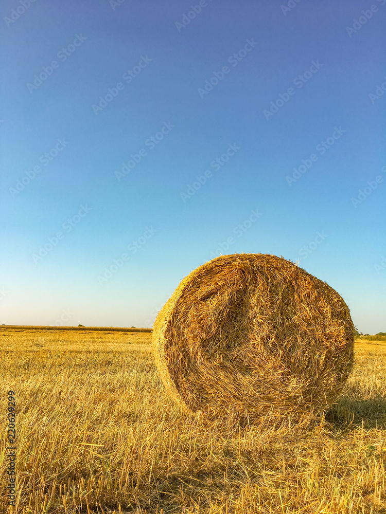 big round bales of straw in the meadow
