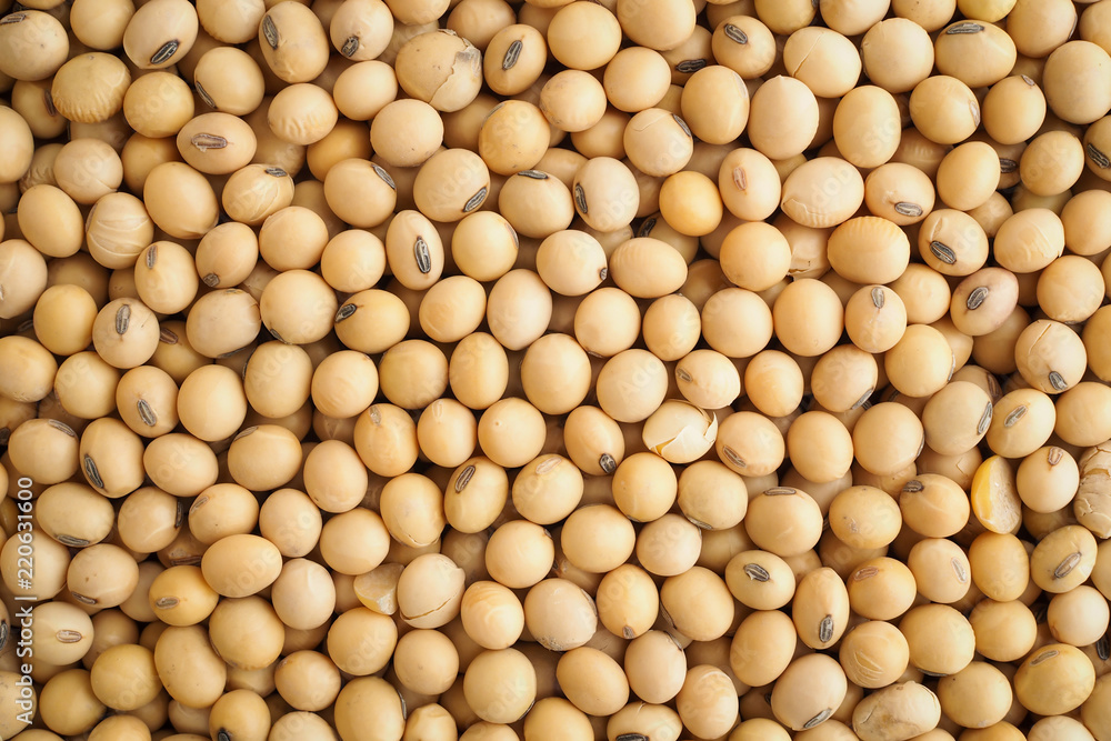 Top view of soybeans for food texture background