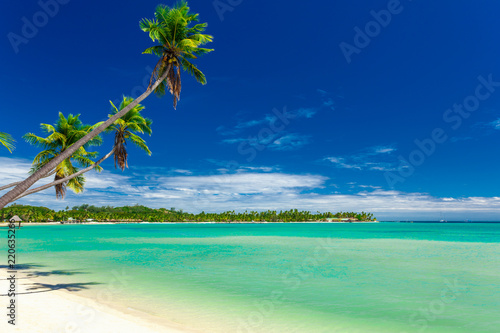 Fototapeta Naklejka Na Ścianę i Meble -  Tropical beach with coconut palm trees and clear lagoon, Fiji Islands
