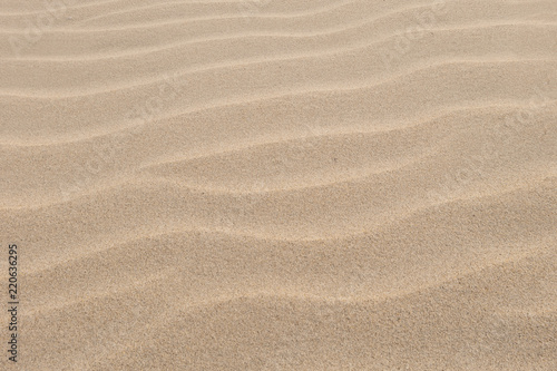 Brown sand waves texture background. Empty sandy beach.