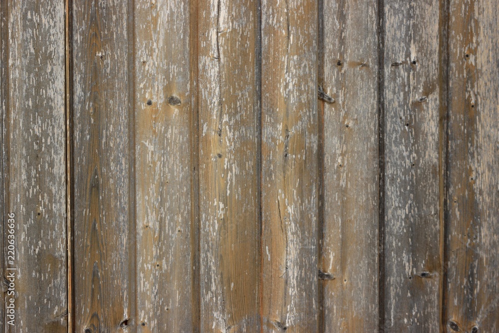 wood texture wood texture