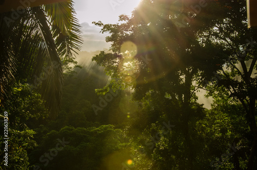 Sonnenaufgang Regenwald