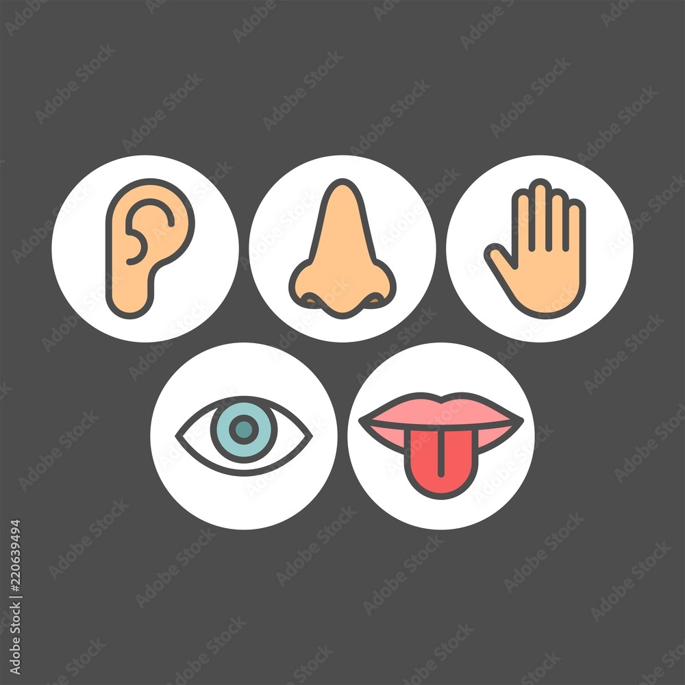 Obraz premium Sense organs flat vector icons 