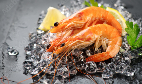 Shrimps. Fresh prawns on a black background. Seafood on crashed ice with herbs. Healthy food, cooking