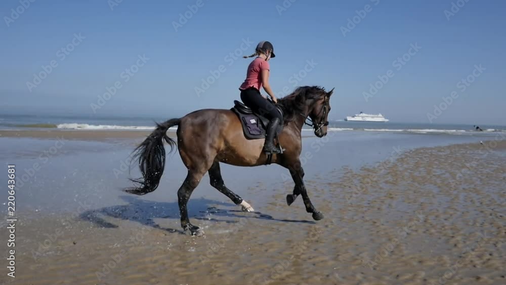 Tableau Sur Toile Chevaux Au Galop Dans Les Vagues – 100x57 Cm, Art Marin Moderne, Décoration Murale Puissante
