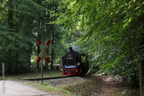 Schmalspur Bahn, der rasende Roland, Warnkreuz, Insel Rügen, Granitz