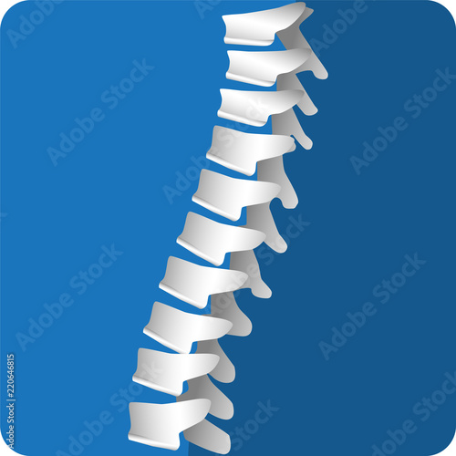 magnesium bone body spine human on the blueprint background diagnostics for study