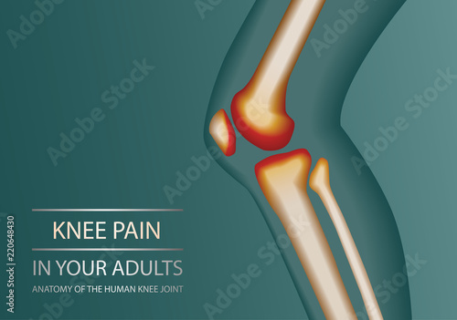 Highlighted human knee joint medical diagnostic emblem for orthopedic clinic