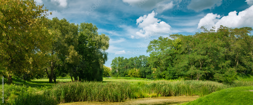 summer landscape, view of the coast of a swampy river with lush vegetation under a beautiful cloudy sky