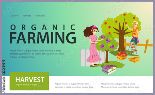 Two girls gathering fruits in orchard flat poster