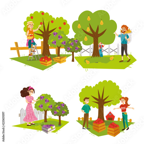 Harvesting fruits flat colorful set