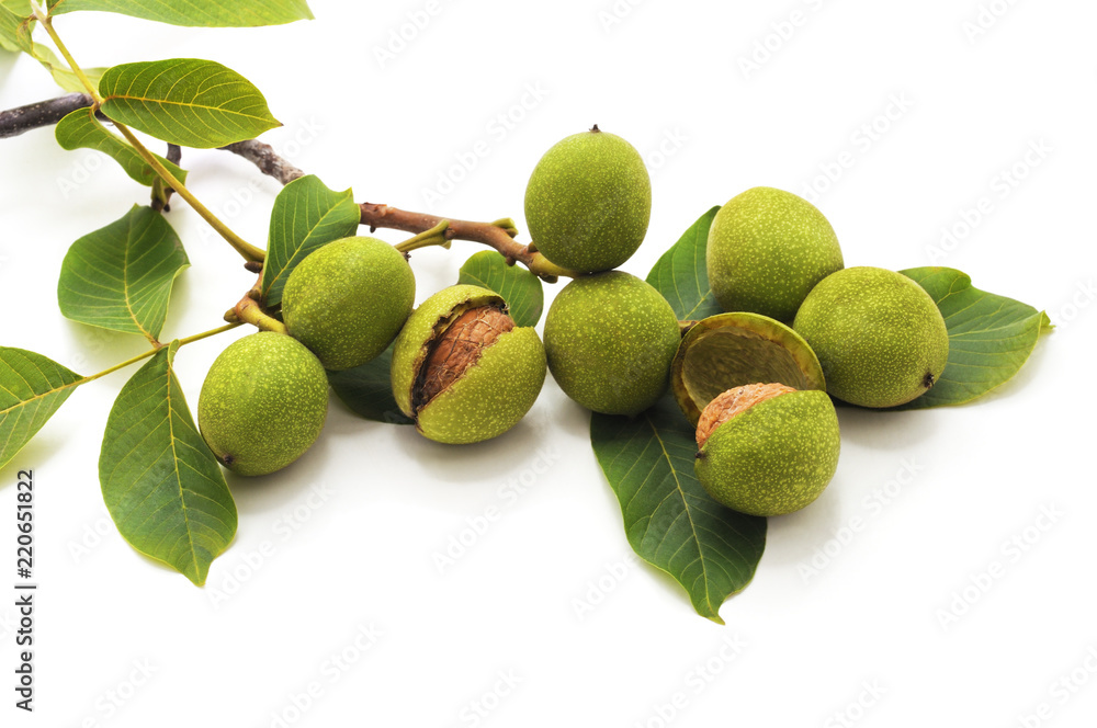 Obraz premium Zielone orzechy włoskie z liśćmi.