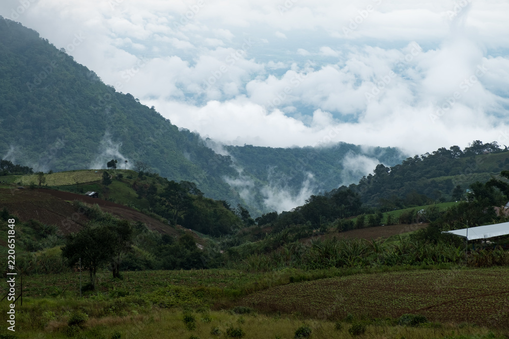 Fog and Mountain View in the Rainy Season.