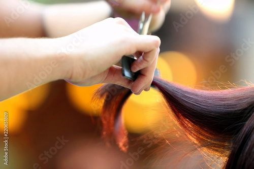 Hairdresser cuts the hair of the client with scissors in the hairdressing salon